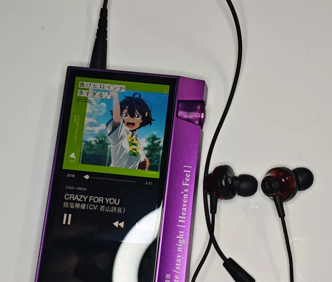 回老家继续听我5、60块的有线耳塞 