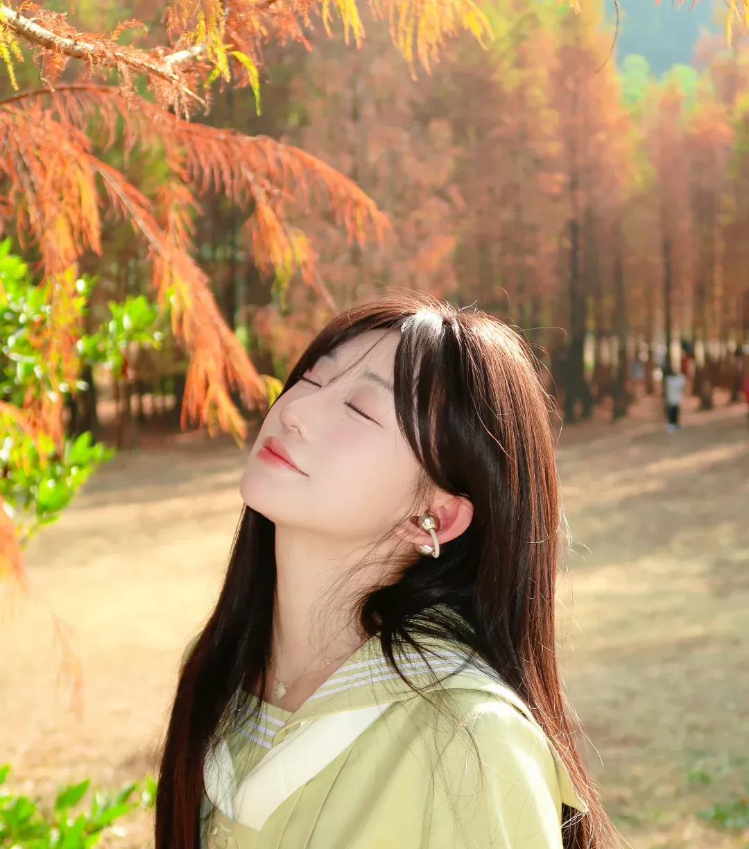 在落羽杉公园里“听见”秋天🍂 