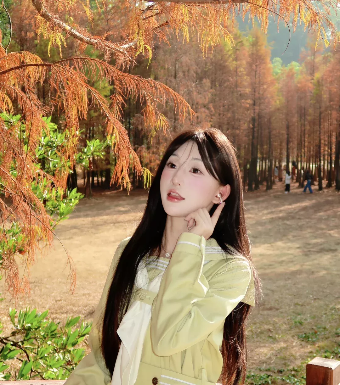 在落羽杉公园里“听见”秋天🍂 