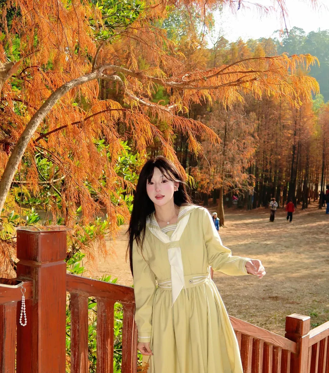 在落羽杉公园里“听见”秋天🍂 