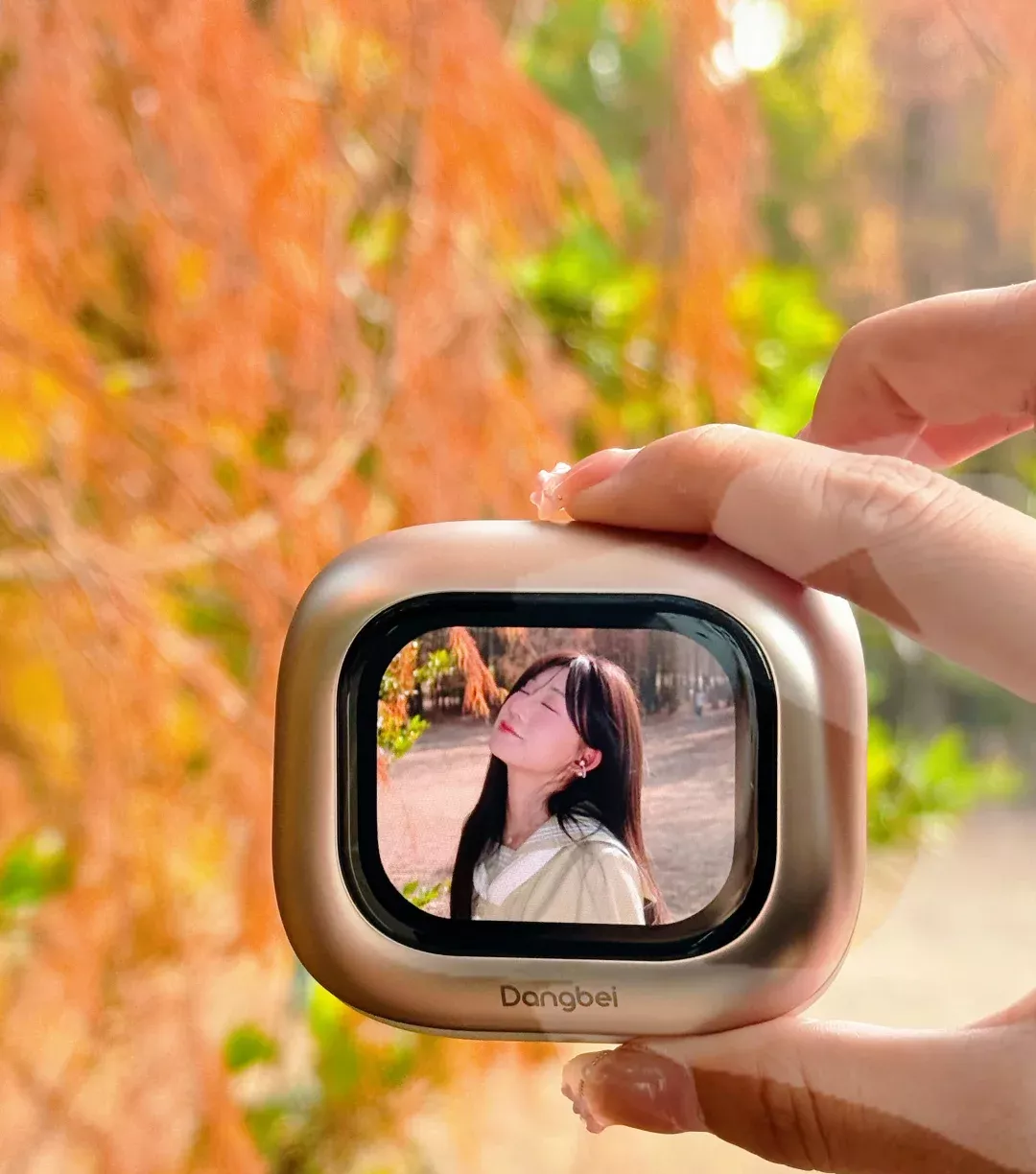 在落羽杉公园里“听见”秋天🍂 