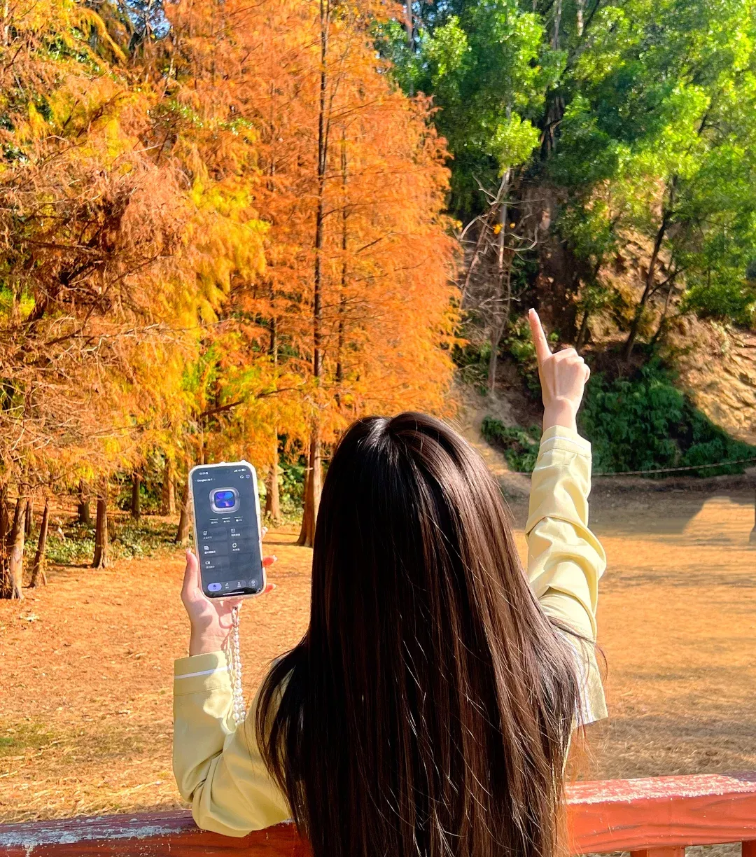 在落羽杉公园里“听见”秋天🍂 