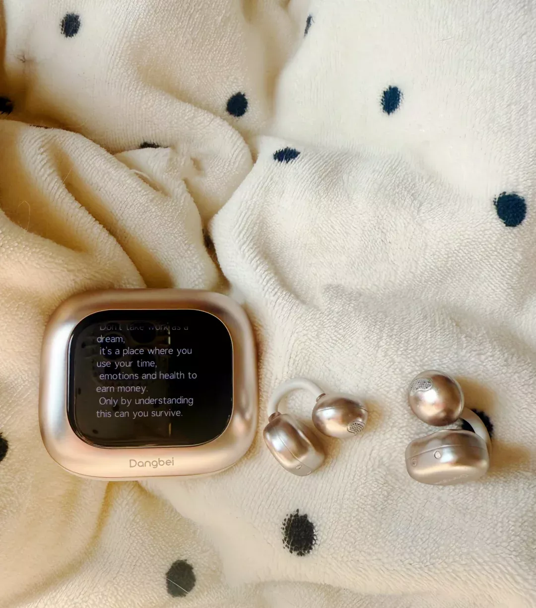 在落羽杉公园里“听见”秋天🍂 