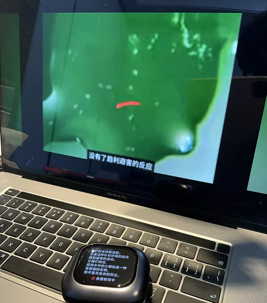 走到哪被问到哪的耳机～ 