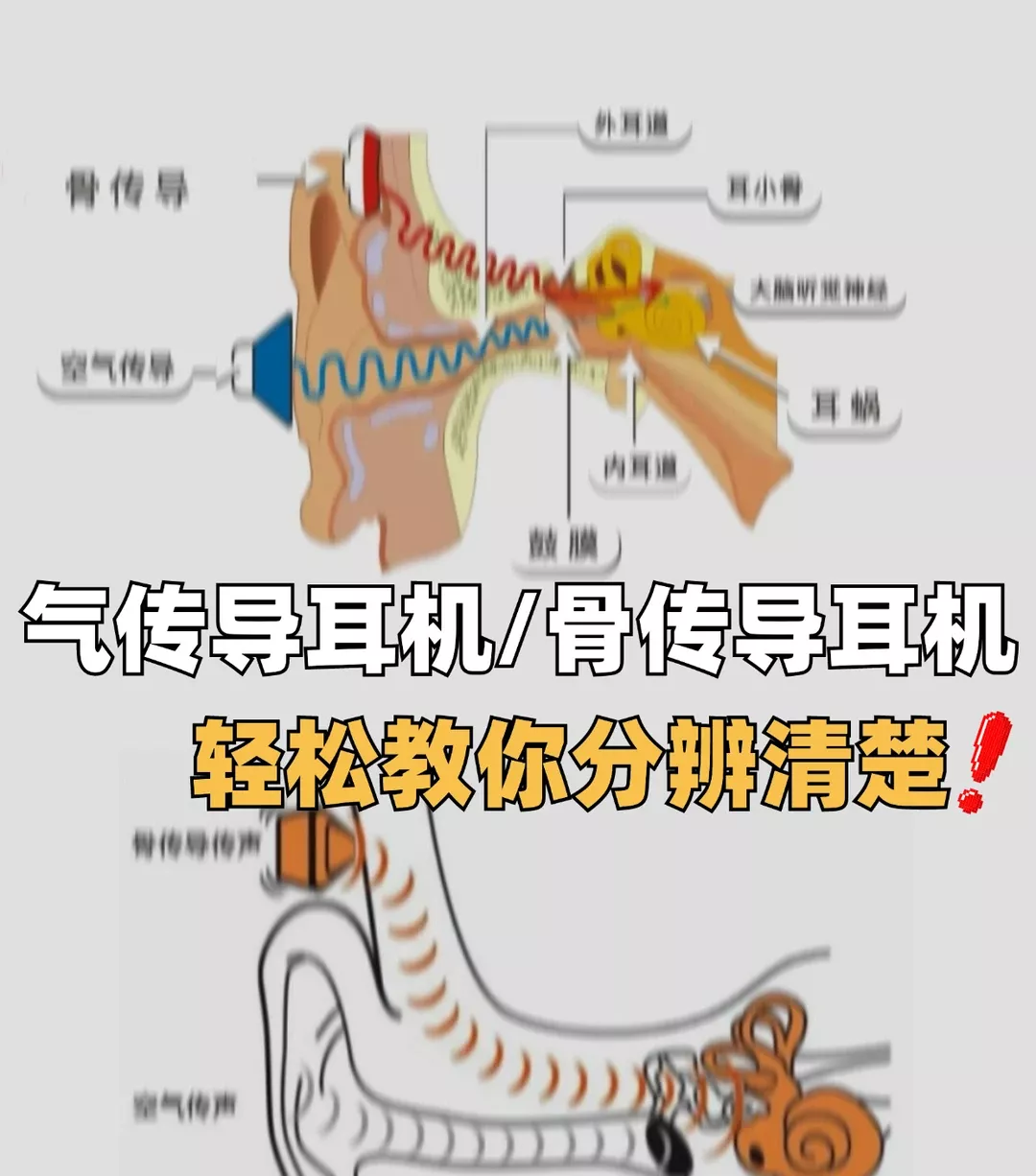 科普篇｜气传导耳机和骨传导耳机该怎么选❗️ 